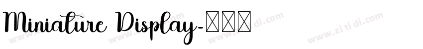 Miniature Display字体转换